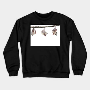 Possum Crewneck Sweatshirt